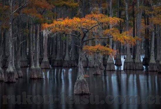 足球竞猜比分怎么玩法-解锁足球竞猜比分玩法，从入门到精通的全面指南